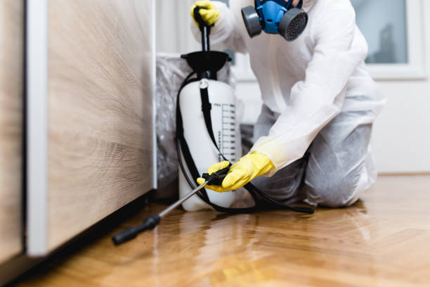Best Affordable Pest Control Services  in Greenville, IN