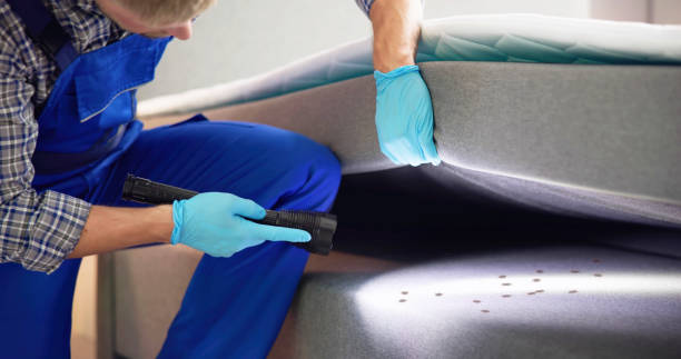 Best Pest Inspection Near Me  in Greenville, IN